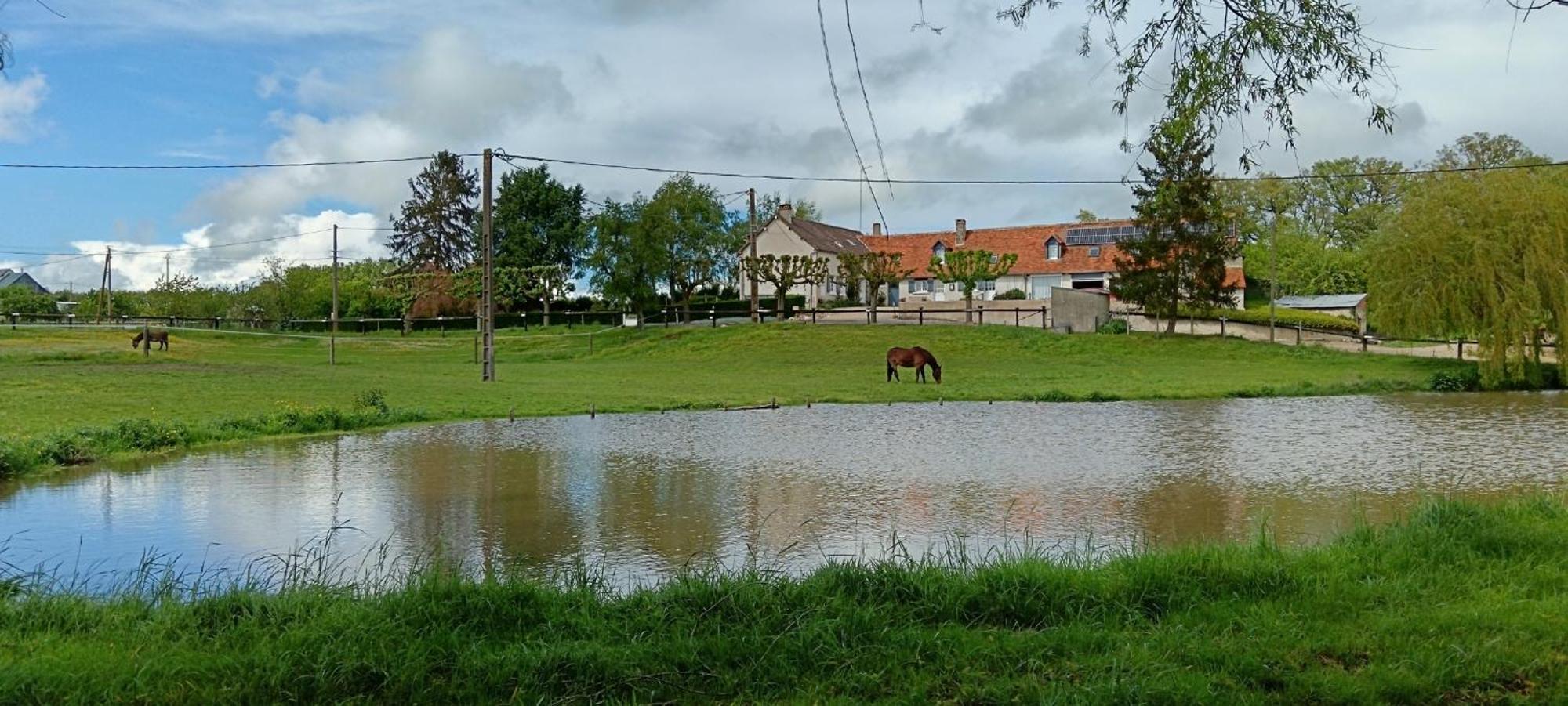 Готель La Ferme Des Bigornes Chatillon-sur-Indre Екстер'єр фото